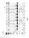 Fig. 04 - Uninterrupted read of consecutive pages for memory