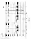 Fig. 05 - Uninterrupted read of consecutive pages for memory