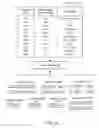 Fig. 03 - Global column indexing in a graph database