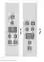 Fig. 06 - Application specific integrated circuit link
