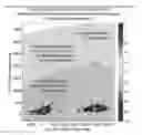 Fig. 01 - Determining the limit of detection of rare targets using digital PCR