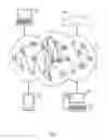 Fig. 04 - Resolving conflicting data among data objects associated with a common entity