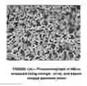 Fig. 02 - Fibers with physical features used for coding