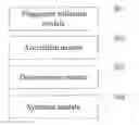 Fig. 01 - FINGERPRINT TEMPLATE ACQUISITION METHOD AND DEVICE