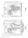 Fig. 07 - Method and system for three-dimensional print oriented image segmentation