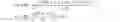 Fig. 04 - Differential recurrent neural network