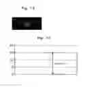 Fig. 08 - Inspection apparatus and inspection method