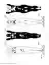 Fig. 12 - Whole body image registration method and method for analyzing images thereof