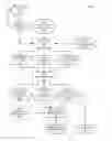 Fig. 01 - CASCADED-TIME-SCALE BACKGROUND MODELING