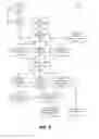 Fig. 09 - CASCADED-TIME-SCALE BACKGROUND MODELING
