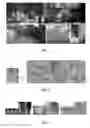 Fig. 02 - Method, apparatus, storage medium and device for controlled synthesis of inhomogeneous textures