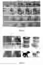 Fig. 08 - Method, apparatus, storage medium and device for controlled synthesis of inhomogeneous textures