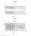 Fig. 07 - Method and apparatus for processing image