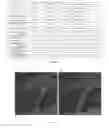 Fig. 03 - Music-colour synaesthesia visualization method
