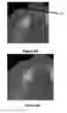 Fig. 07 - Systems and methods for an integrated system for visualizing, simulating, modifying and 3D printing 3D objects