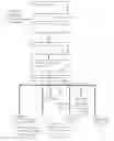 Fig. 01 - Event Digital Image Enhancement