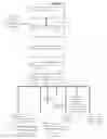 Fig. 02 - Event Digital Image Enhancement
