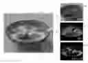 Fig. 01 - Efficient rendering of heterogeneous polydisperse granular media