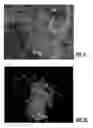 Fig. 08 - Annotated 3D models of telecommunication sites for planning, engineering, and installation