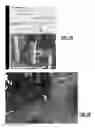 Fig. 12 - Annotated 3D models of telecommunication sites for planning, engineering, and installation