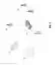 Fig. 02 - Vehicle turn detection