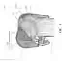 Fig. 04 - Surgical simulation systems, methods, and compositions
