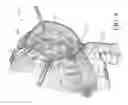 Fig. 05 - Surgical simulation systems, methods, and compositions