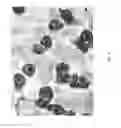 Fig. 04 - Nonwoven composite
