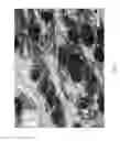 Fig. 05 - Nonwoven composite
