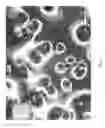 Fig. 06 - Nonwoven composite