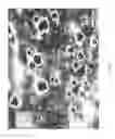 Fig. 07 - Nonwoven composite