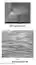 Fig. 03 - Graphene oxide-coated graphitic foil and processes for producing same