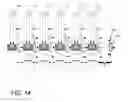 Fig. 14 - X-ray illumination system with multiple target microstructures