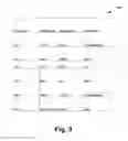 Fig. 08 - Phosphine co-gas for carbon implants