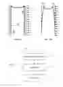 Fig. 02 - Drying high aspect ratio features