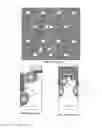 Fig. 02 - Process method and structure for high voltage MOSFETs