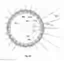 Fig. 06 - Solar energy receiver