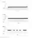 Fig. 03 - Light emitting diode and method of manufacturing thereof