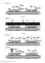 Fig. 07 - Method for manufacturing light emitting device