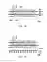 Fig. 15 - PACKAGE STRUCTURE FOR LIGHT EMITTING DEVICE