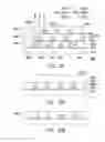 Fig. 16 - PACKAGE STRUCTURE FOR LIGHT EMITTING DEVICE
