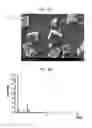 Fig. 04 - Thermoelectric conversion element and method of manufacturing the same