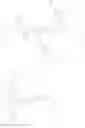 Fig. 27 - Organic semiconductor element, compound, organic semiconductor composition, and method of manufacturing organic semiconductor film