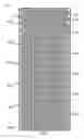 Fig. 09 - Lithium ion battery