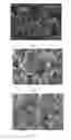 Fig. 02 - LITHIUM ION BATTERY AND POSITIVE ELECTRODE MATERIAL THEREOF