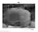Fig. 02 - Electrode mixture layer