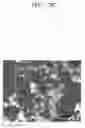 Fig. 07 - POROUS ELECTRODE FOR LITHIUM BATTERY, METHOD OF MANUFACTURING THE SAME, AND LITHIUM BATTERY INCLUDING THE SAME