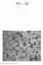 Fig. 08 - POROUS ELECTRODE FOR LITHIUM BATTERY, METHOD OF MANUFACTURING THE SAME, AND LITHIUM BATTERY INCLUDING THE SAME