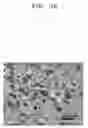 Fig. 09 - POROUS ELECTRODE FOR LITHIUM BATTERY, METHOD OF MANUFACTURING THE SAME, AND LITHIUM BATTERY INCLUDING THE SAME