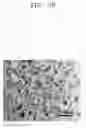 Fig. 10 - POROUS ELECTRODE FOR LITHIUM BATTERY, METHOD OF MANUFACTURING THE SAME, AND LITHIUM BATTERY INCLUDING THE SAME
